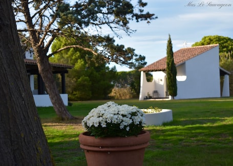 Hôtel Mas le Sauvageon