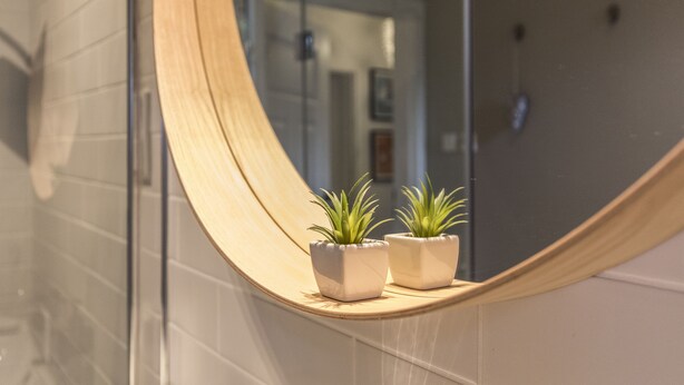 A curved mirror reflecting a bathroom with two potted plants on a shelf. - Visit Lublin Premium Radziszewskiego (Lublin)