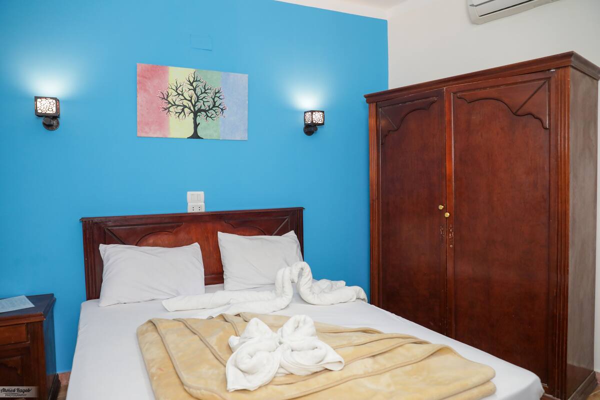 Chambre simple Standard | Literie hypoallergénique, minibar, bureau, accès au Wi-Fi (inclus)