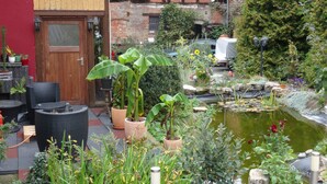 Eine Terrasse mit Sitzgelegenheiten im Freien, ein kleiner Teich mit Seerosen und verschiedene Kübelpflanzen.