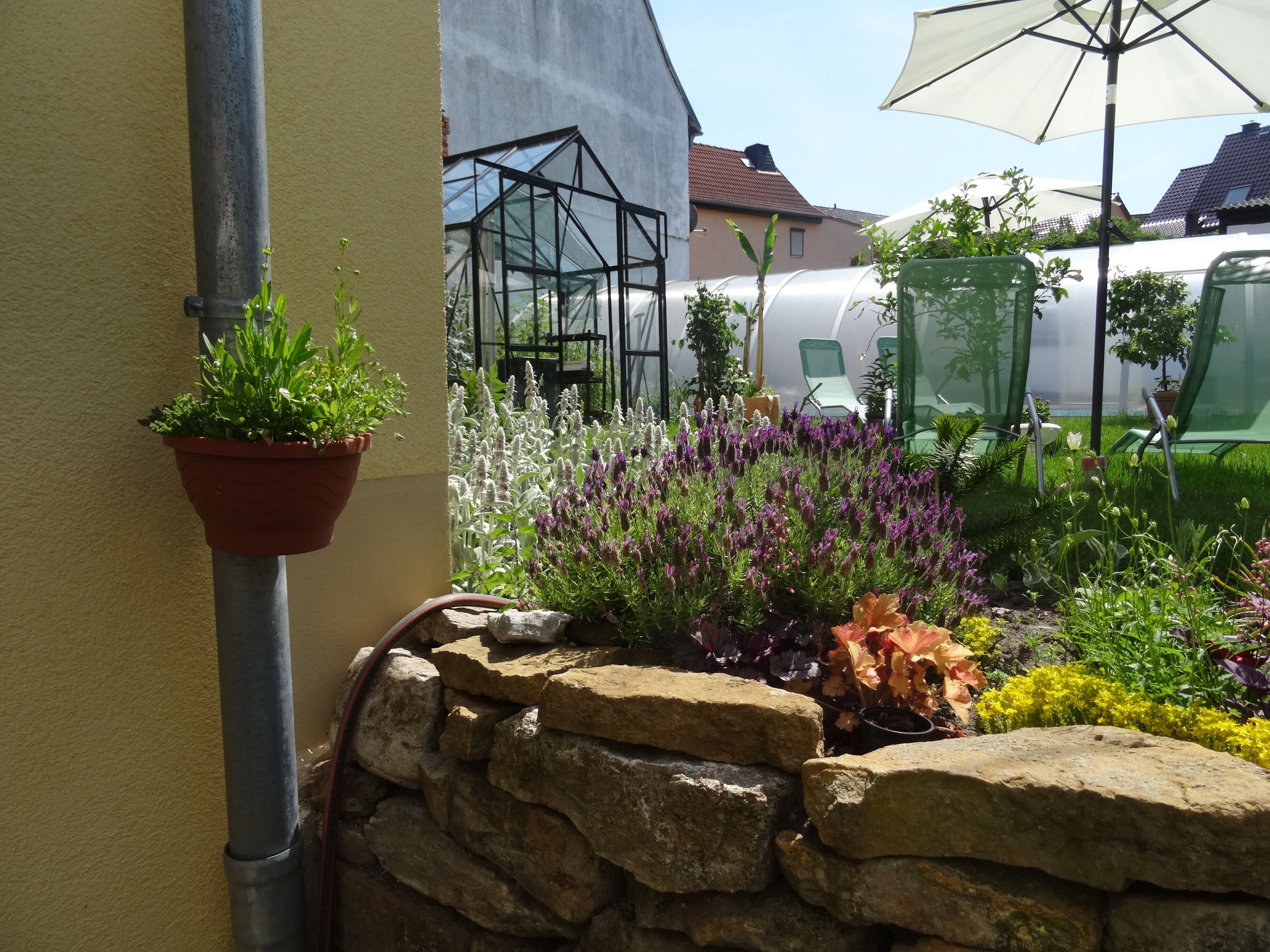 A garden with a stone wall, a hanging planter, and a greenhouse structure.