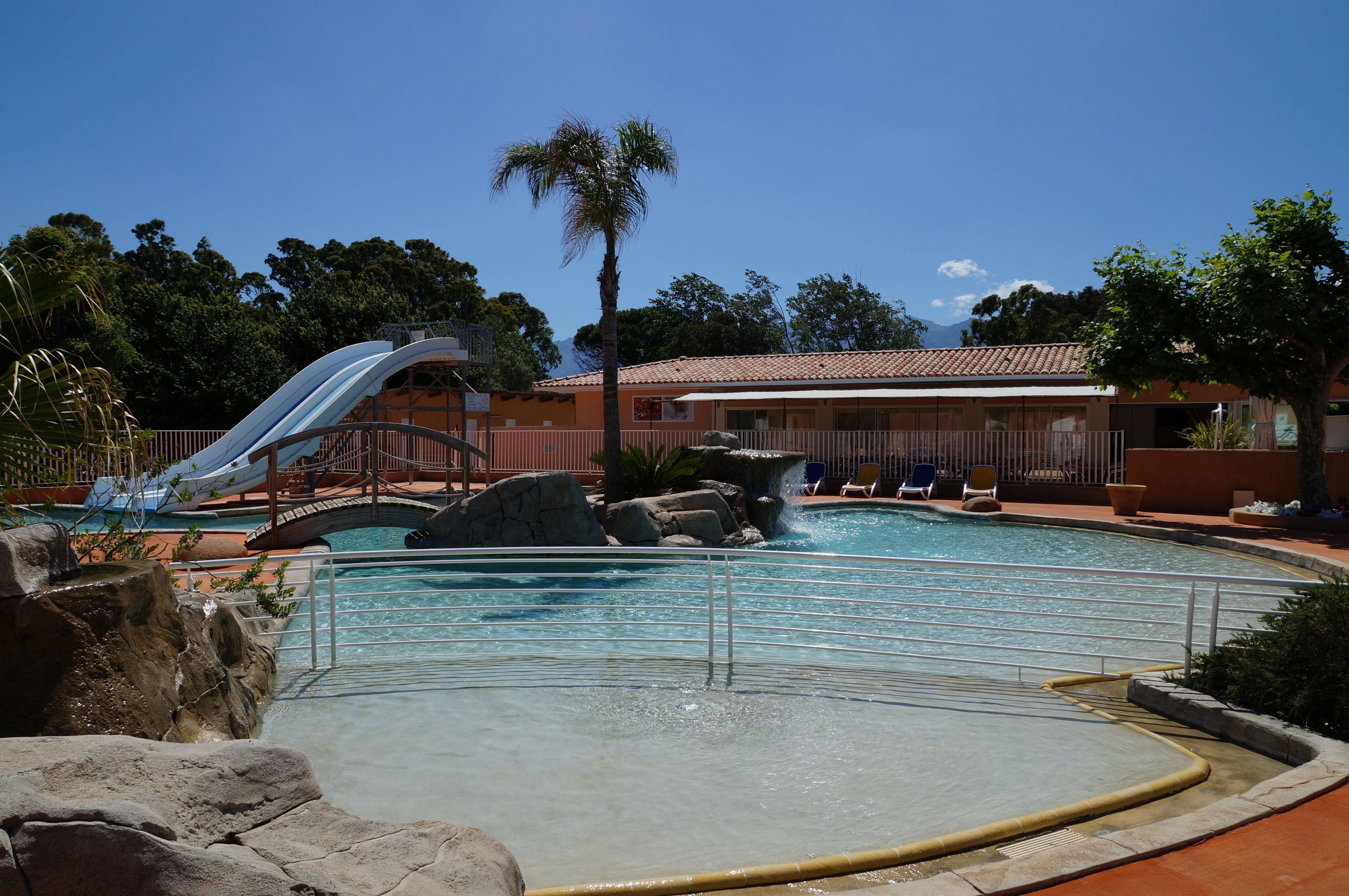 A swimming pool with a water slide, lounge chairs, and a palm tree.