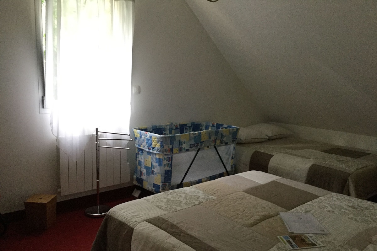 Individually decorated, individually furnished, iron/ironing board