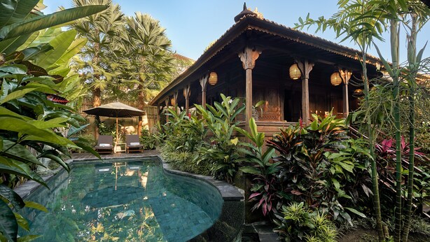 Area piscina con struttura in legno, circondata da rigogliosa vegetazione tropicale.