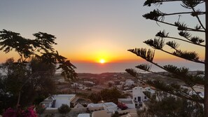 Estudio (Sunrise) | Terraza o patio