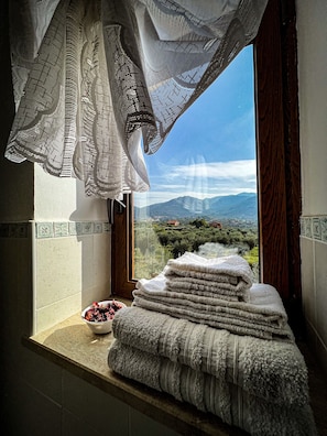 A bathroom with a window view of a mountainous landscape, a towel rack with folded towels, and a bowl of fruit. - Bed and Breakfast Nero Buono (Cori)