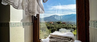 B&B 네로 부오노