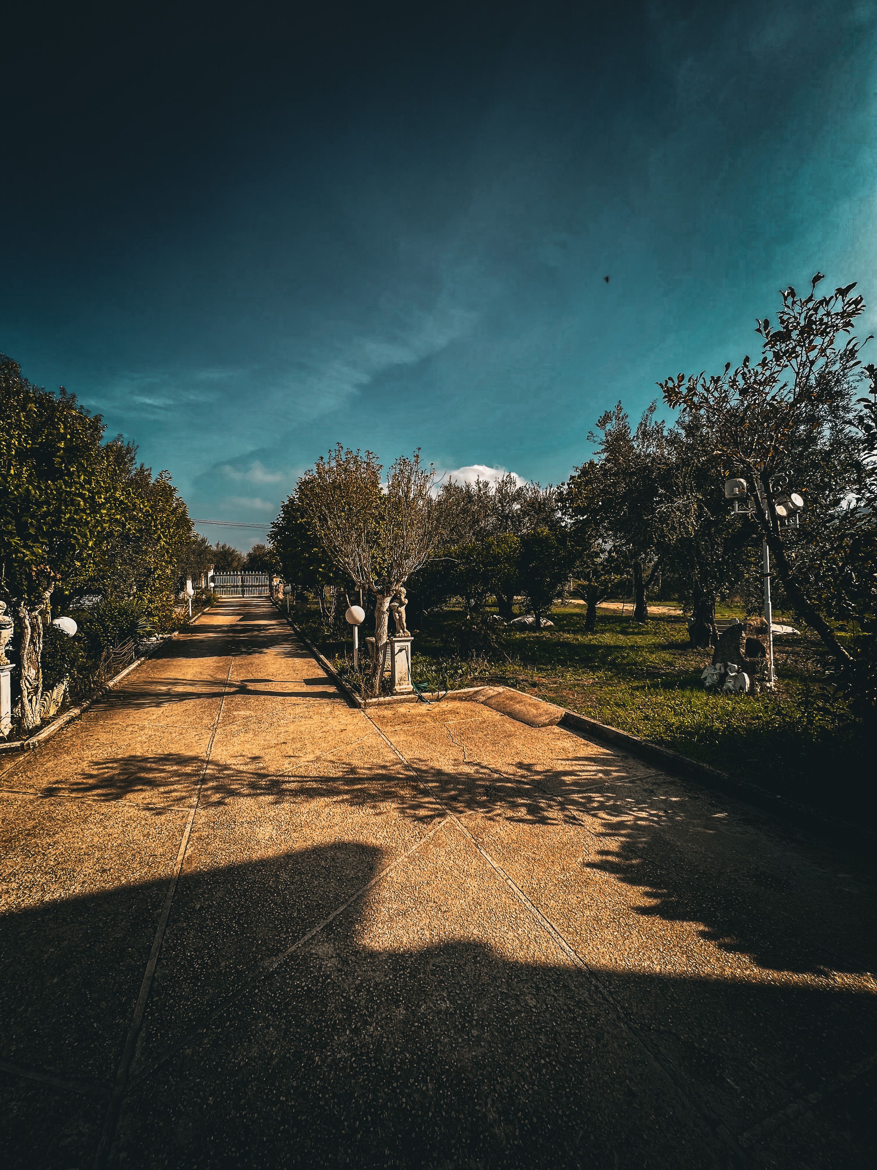 Un camino empedrado bordeado por árboles y estatuas, que conduce a una estructura distante.