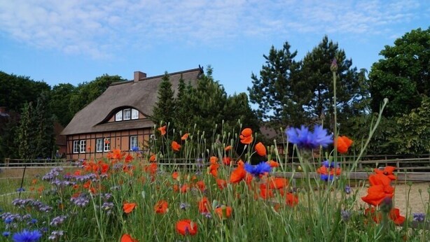 Exterior detail - Buchenhof-Nordheide (Gödenstorf)