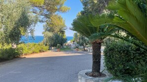 A paved pathway lined with various trees and plants, leading towards a body of water. - Hotel Baia Dei Faraglioni (Mattinata)
