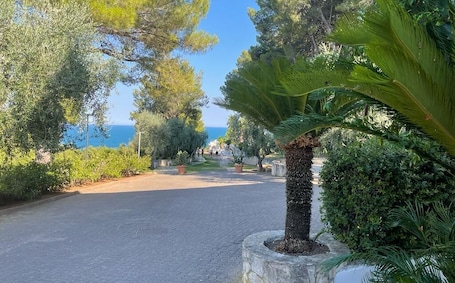 Áreas de la propiedad. Hotel Baia Dei Faraglioni