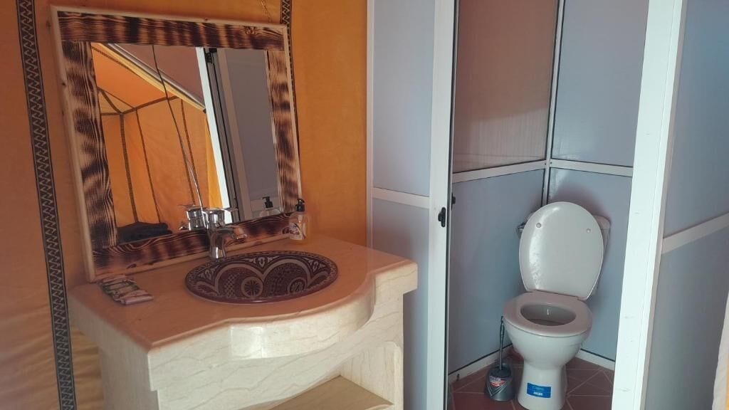 A bathroom with a vanity, a mirror, a toilet, and a shower area.