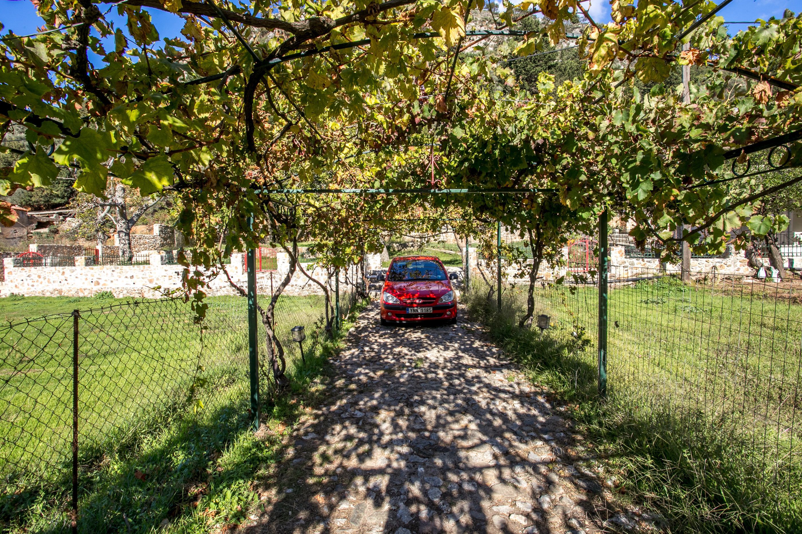 A red car parked under a vine-covered archway on a stone path.