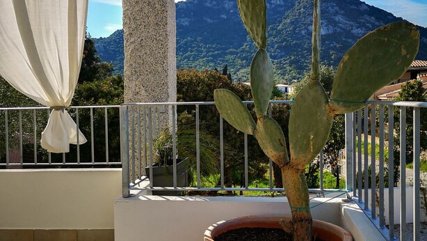 Exterior - B&B Limone (San Teodoro)