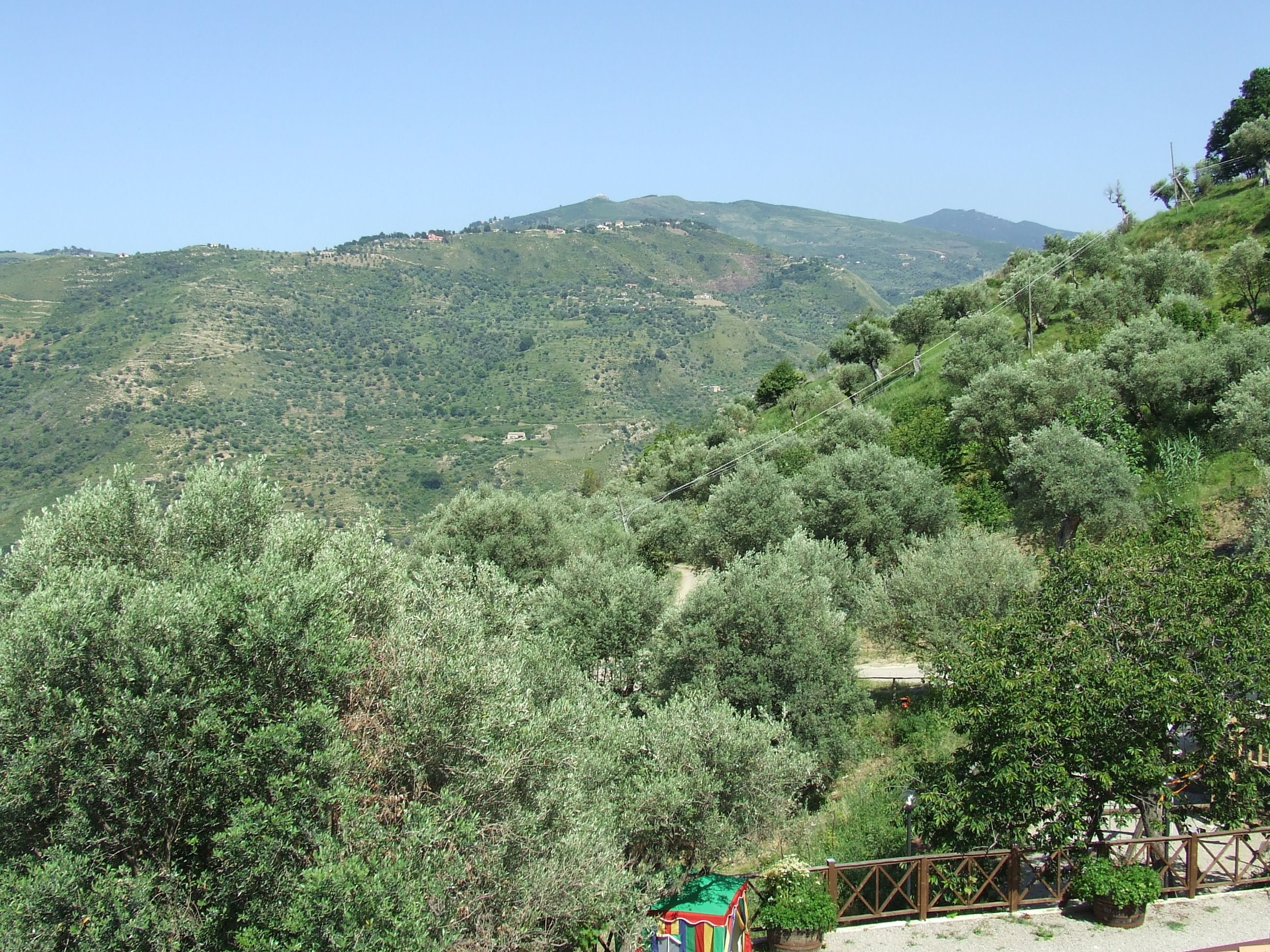 Paesaggio montuoso con vegetazione fitta e alcuni edifici sparsi.