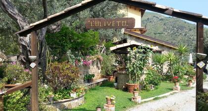 L'Uliveto