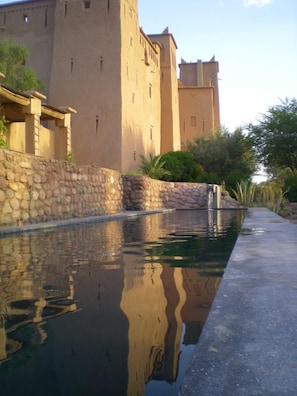 Outdoor pool, pool umbrellas, pool loungers