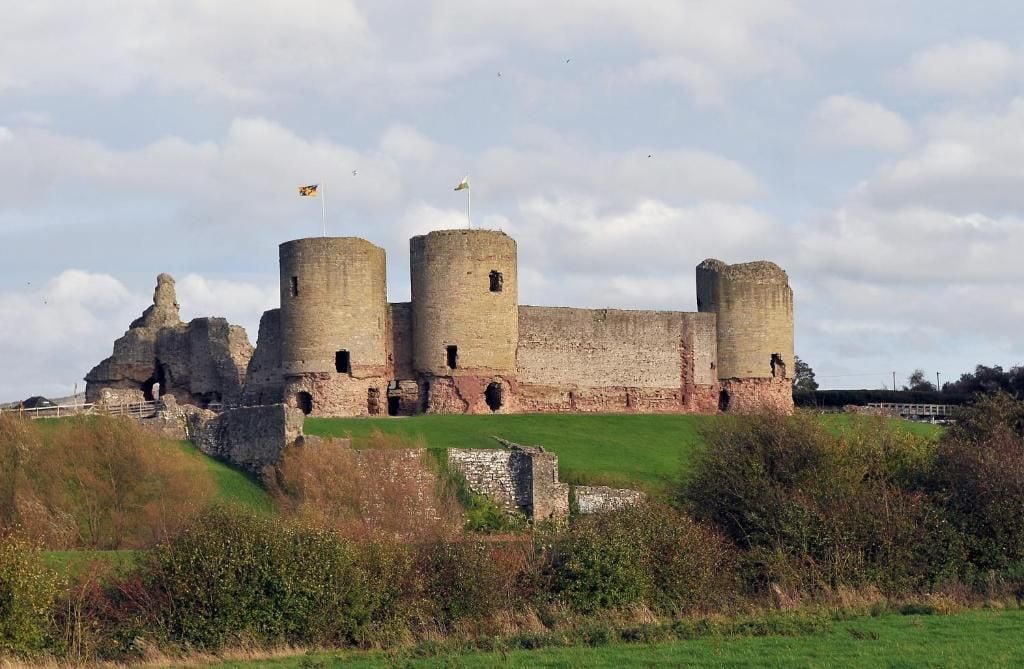 A historic castle with multiple towers and a grassy foreground.