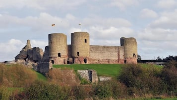 A historic castle with multiple towers and a grassy foreground.