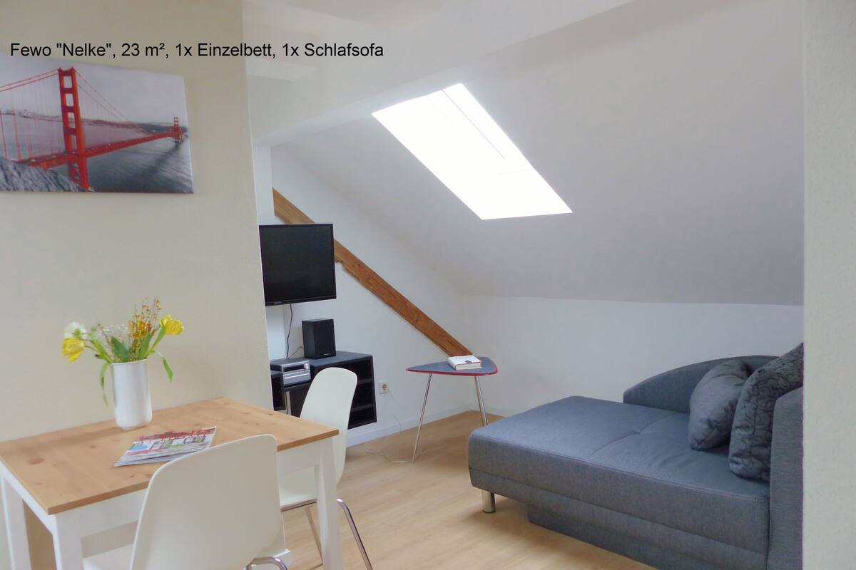 Une petite pièce de 23 m², comprenant un lit simple, un canapé, un bureau avec une chaise, une télévision et un tableau représentant le pont du Golden Gate.