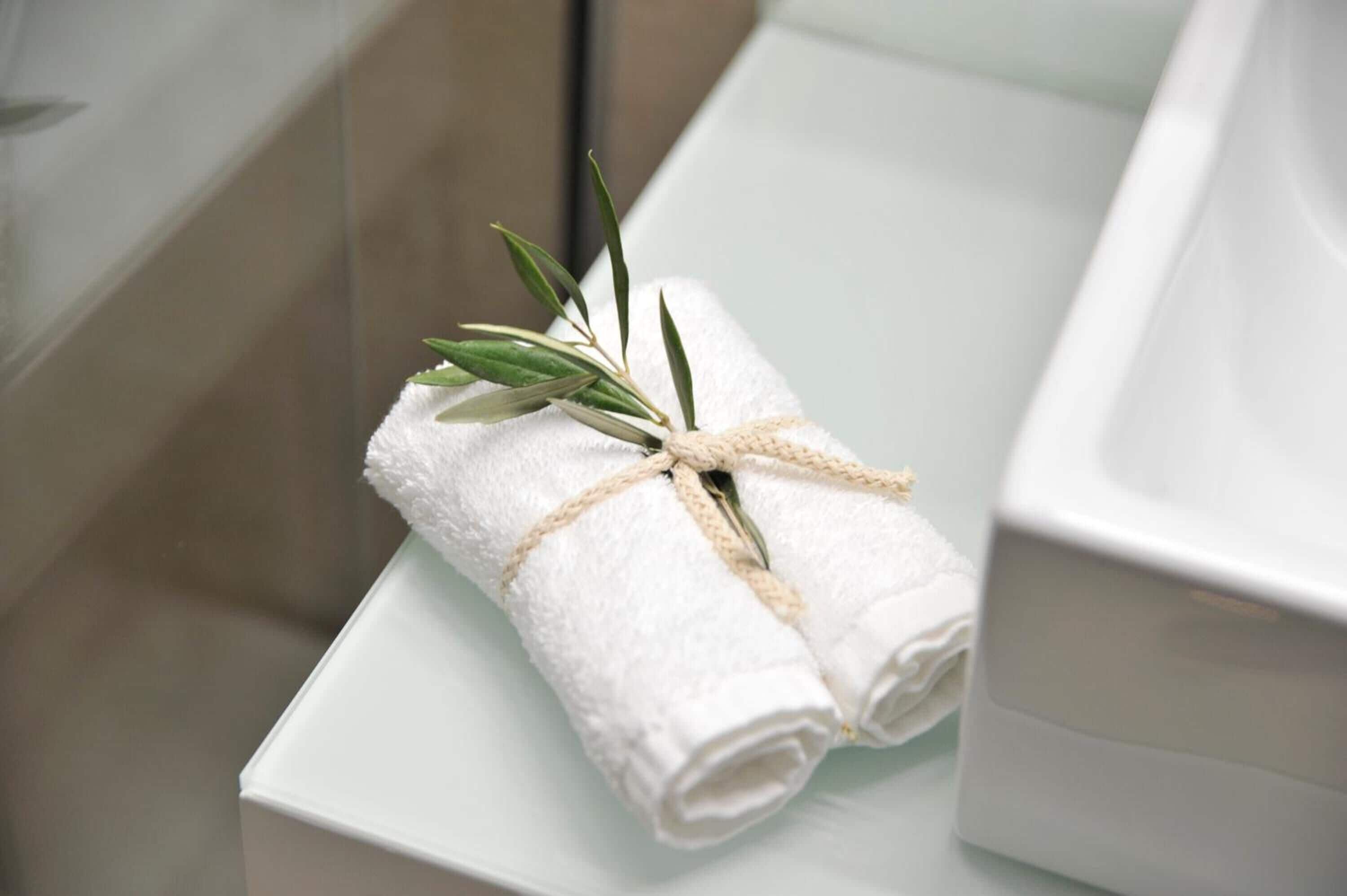 shower, rainfall showerhead, hair dryer, bidet