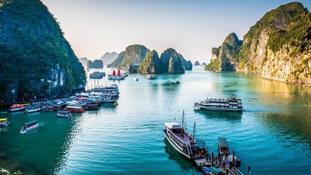 A coastal area with boats docked along the shore, surrounded by lush green cliffs. - Halong Sapphire Cruise (Tuan Chau)