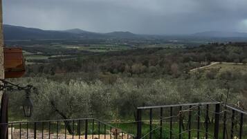 Vista al paisaje