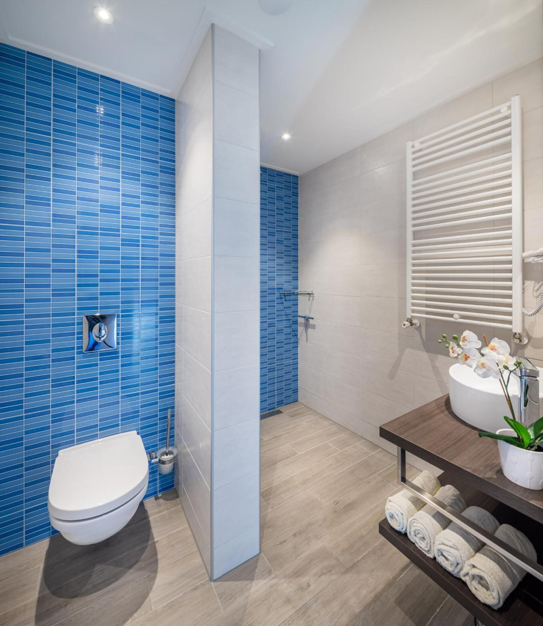 shower, rainfall showerhead, free toiletries, hair dryer