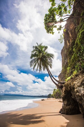 Plage, sable blanc, bar de plage