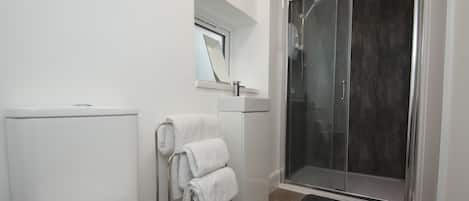 Un baño con inodoro, lavabo, espejo y ducha con mampara de vidrio.