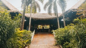 Reception - Socialtel Nosara (Nosara)