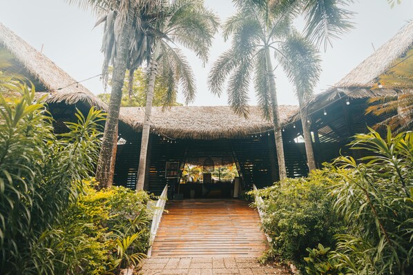 Reception - Socialtel Nosara (Nosara)
