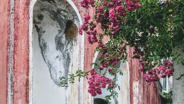 A weathered building with two large terracotta pots and a flowering bush. - Agriturismo Gocce di Luna (Celle Ligure)