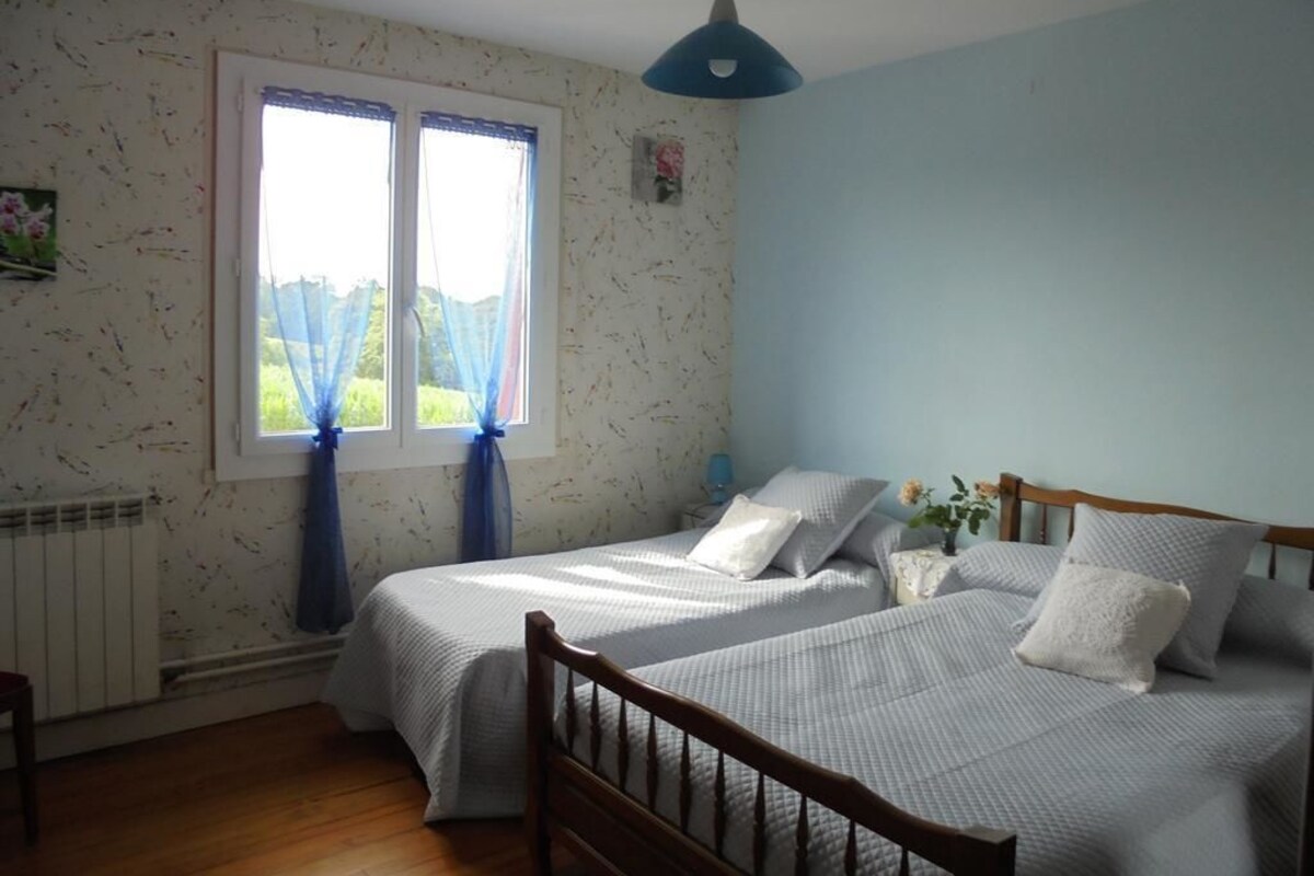 Ein Schlafzimmer mit zwei Einzelbetten, einem Fenster mit blauen Vorhängen, einem Heizkörper und einem Holz-Kopfteil.