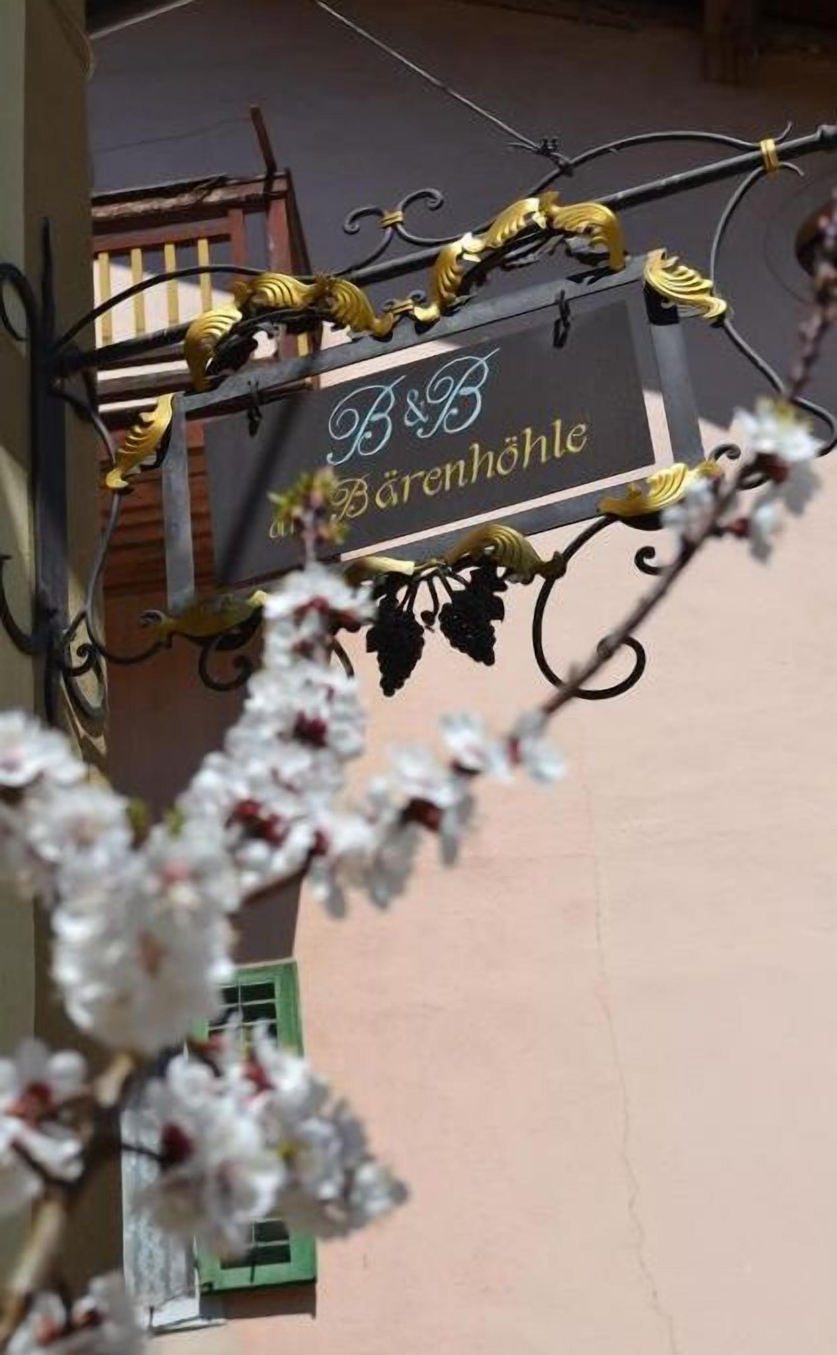 Ein Schild mit der Aufschrift 'B&B Bärenhöhle', das eine Pension kennzeichnet.