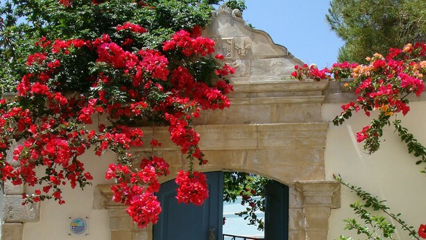 Une arche en pierre ornée de fleurs rouges et de verdure.