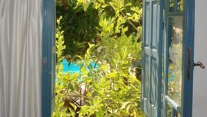 Une chambre dotée d’une fenêtre donnant sur une piscine et une végétation luxuriante.