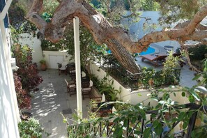 Property grounds - Villa Kynthia (Mylopotamos)