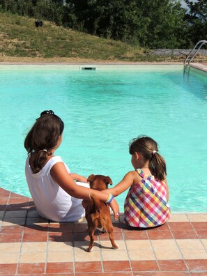 Outdoor pool - Agriturismo Fratelli Angelucci (Cannara)