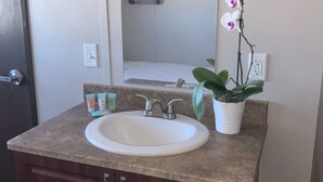 A bathroom with a white sink, a mirror, and a potted orchid. - Karbani Inn (Carlsbad)
