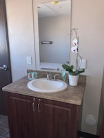 Un baño con un lavamanos blanco, un espejo y una orquídea en maceta.