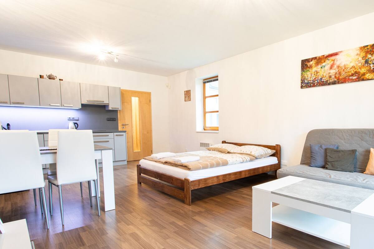 A modern, well-lit room with a wooden floor, a bed with a wooden frame, a white desk with chairs, a kitchenette, and a painting on the wall.