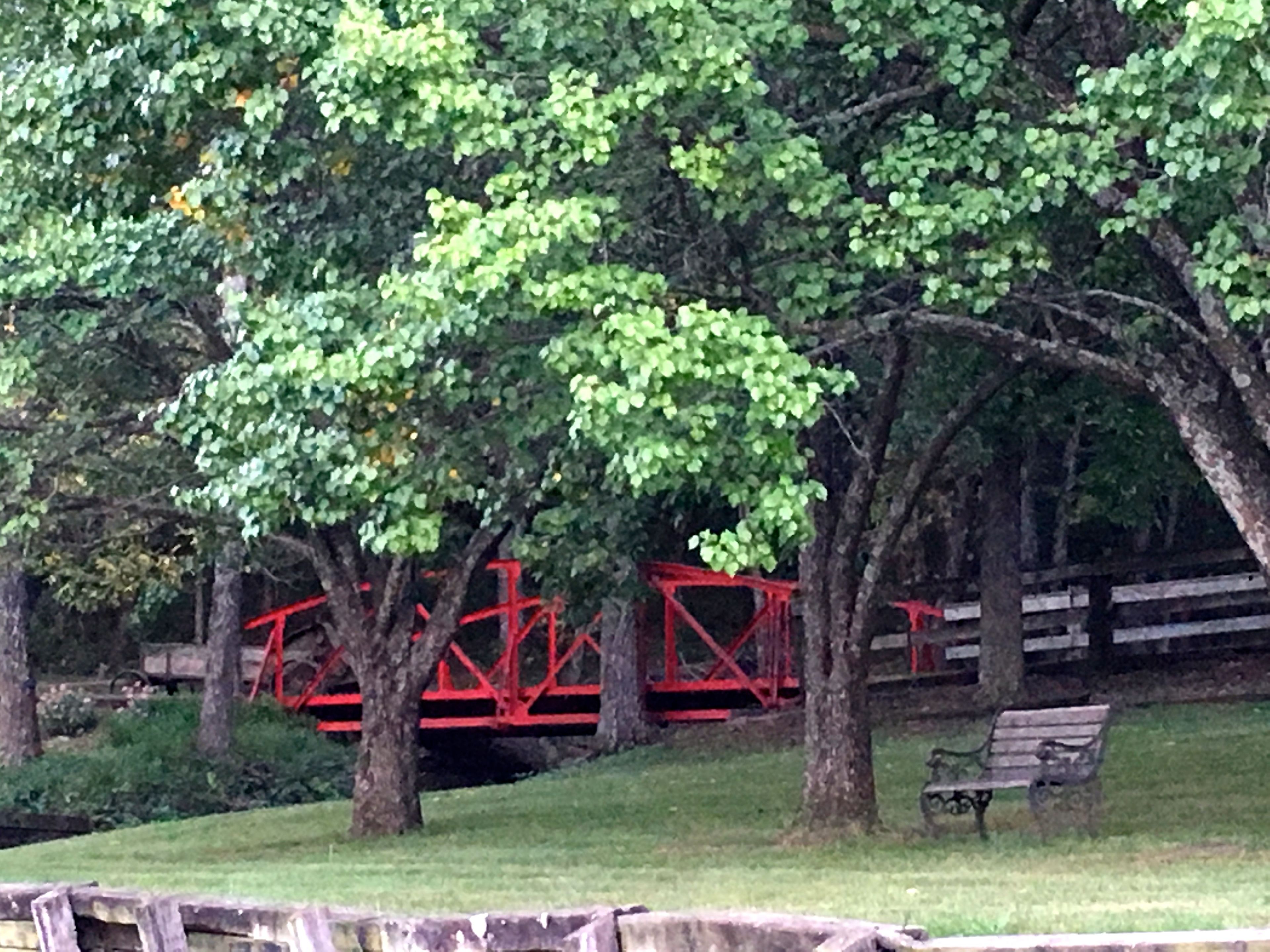 A park with trees, a red bridge, and a bench.