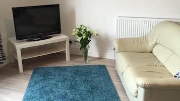 42-inch flat-screen TV with digital channels, TV