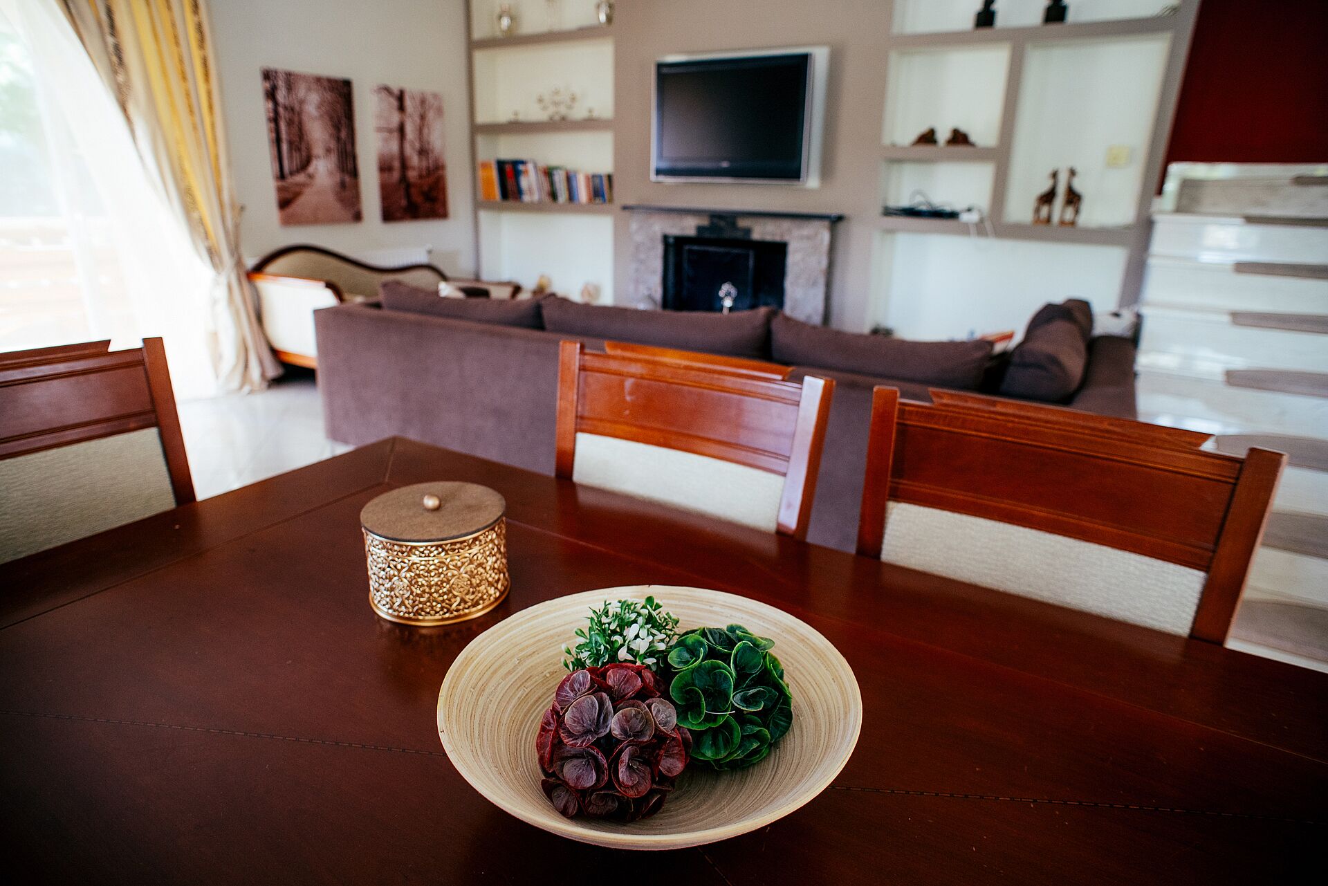 Smart TV, chimenea, reproductor de DVD y libros 