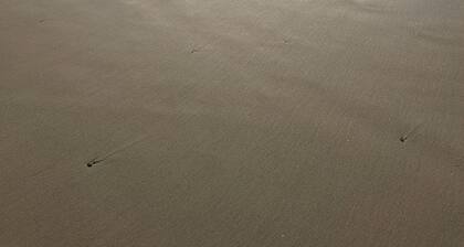 Access to the Best Beach on the Oregon Coast