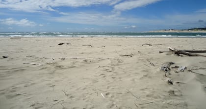 Access to the Best Beach on the Oregon Coast