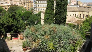 Terrace/patio - Hotel Belvedere (Agrigento)