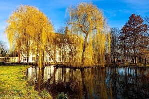 Unclassified image, 2 of 39, button - Anker (Saalfeld-Saale)