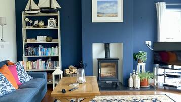 TV, fireplace, books